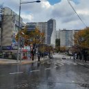 정릉84 이미지