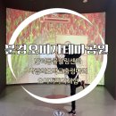 문경 오미자테마공원 관람후기 / 사랑의 오작교 출렁다리 / 문경새재 반려동물센터