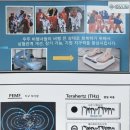 컬러하우스