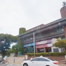 청솔청과
