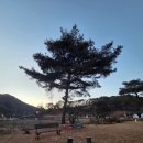 카페재생 | [만두맘]세종카페재생,세종카페추천,고복저수지카페,카페재생,내돈내산,세종가볼만한곳,조치원고복...