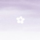 라벤더약국 이미지