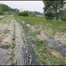 다물농장 이미지