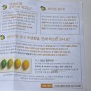 망고 | 망고선물세트 고당도망고 추천 파키스탄 망고 후기