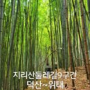 지리산둘레길중태마을안내소 | 지리산둘레길 9코스 덕산~위태 구간,배롱나무 덕천서원 경유(우중 트레킹)