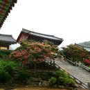 삼보로 이미지