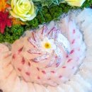 영빈횟집 이미지