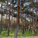 클래식피부과의원 이미지