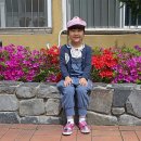진서트리 네이버블로그