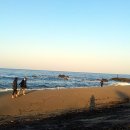 나곡해수욕장 이미지