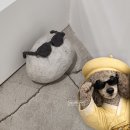 이삭하우스 | 서울전시회 추천, 문이삭 "보헤미아는 바다 사이에 있다 " @ G Gallery
