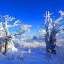 나그네쉼터 이미지