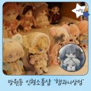 인형세상 | 망원 소품샵 햄과니상점 귀여운 솜인형 커스텀 후기