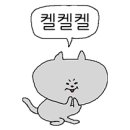 아지트복싱 이미지