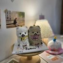 마닐마닐 이미지