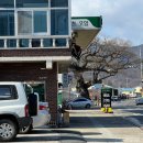 덕곡주유소 이미지