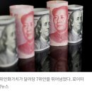 中,위안 달러당 7위안 돌파~! 이미지