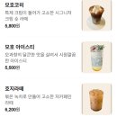 카페모호