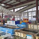 동해시-13 | 12/13(토) 삼척 덕봉산 바다산책로와 동해 묵호 논골담길 여행 후기