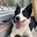 알톤자전거 강릉대리점 | 34도에 강릉 자전거여행 가서 토하는 30대 여성의 재밋는 일상