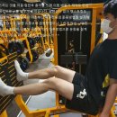 와이디짐 이미지