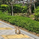 (주)뉴가나다 김포영업소 | 임신중후기(28주-33주)