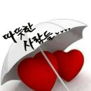 예미초등학교 Daum카페