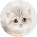 안양유지사료 이미지