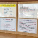 하우목동우도렌트 | 제주도 성산항 우도 배편 배시간표, 예매는 어떻게? 차량선적 후기까지!