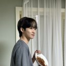 고양이편지 이미지