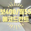 에코드반트 이미지