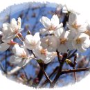 사랑목장 이미지