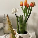 이서방치킨 이미지