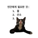 오루브 네이버블로그