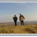 성읍리-11 이미지