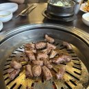 불타는숯불생고기