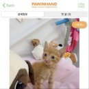 짱구네동물병원 이미지