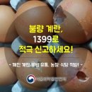 대송유통 이미지