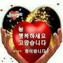 항상좋은날 이미지