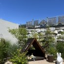 낮은정원 이미지