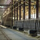 맹호농장 이미지