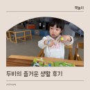 송이전집 | 교원 빨간펜 두비의 즐거운 생활 유아 전집 추천 후기