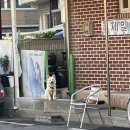 꽃향기 칼국수 이미지