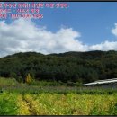 공주시탄천면대학보건진료소 이미지