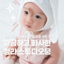 청라3동행정복지센터(9) | 청라 사진관 스튜디오뭉 아기 돌촬영｜베이비 호리존 9컷 대만족