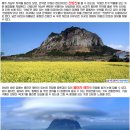 서광여행사 - 수원시 권선구 세권로 109 | 서광여행사