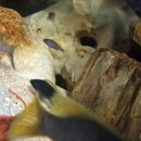 임프레스 이미지