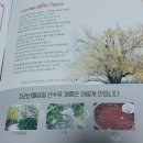 산수유꽃담길평촌 영농조합법인 이미지