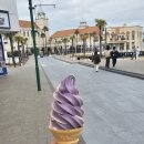 팡팡라이브룸 | [일본생활 D+495~496] 키린지 후쿠오카 라이브 원정, 모모치해변, 오오야마 모츠나베, 우엉튀김우동...