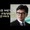 한동훈, 민주당 위헌정당해산 결정적 자료 대공개. (국정원 이희천교수). 이미지